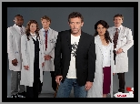 Hugh Laurie, Lekarze, Dr. House